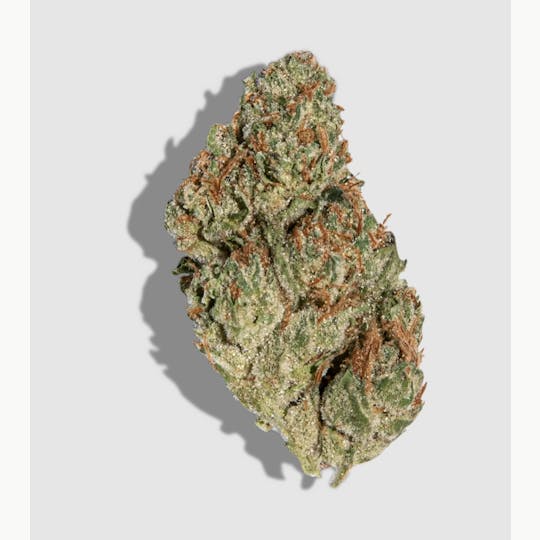 Lume Cannabis Co. - Blueberry Crumble 3.5g Flower - 1