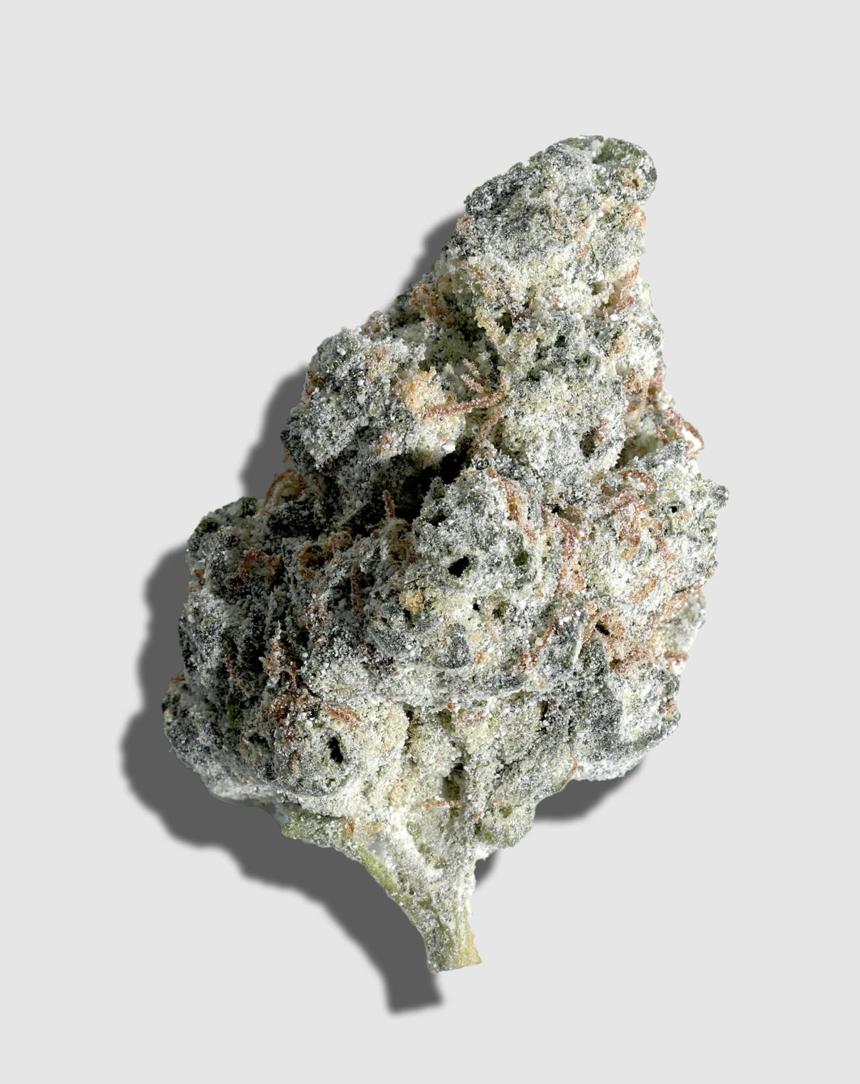 Lume Cannabis Co. - Blueberry Crumble x Peyote Critical 5g Amp'd Flower - 1