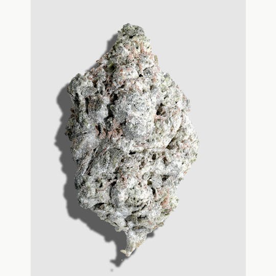 Lume Cannabis Co. - Chem De La Chem x Jack Herer 5g Amp'd Flower - 1