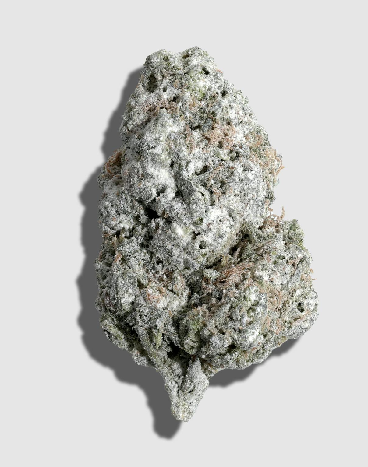 Lume Cannabis Co. - Squeezy Does It x Jack Herer 5g Amp'd Flower - 1