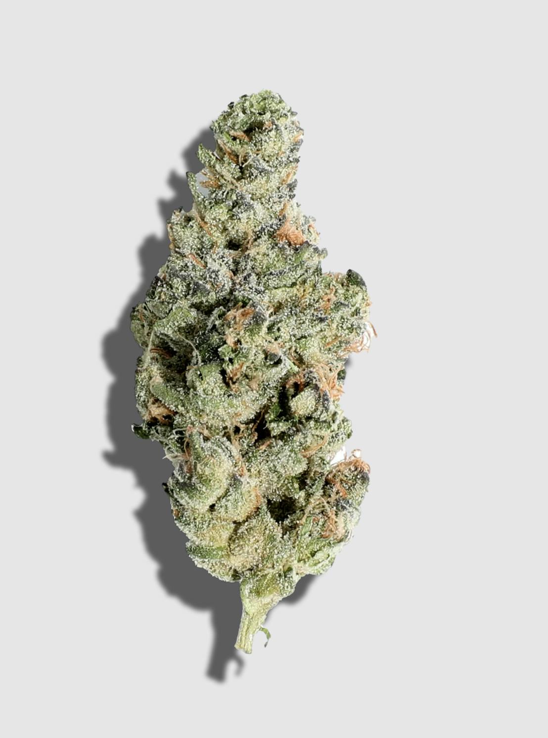 Lume Cannabis Co. - Terp Alert: Dosidos 3.5g Flower - 1