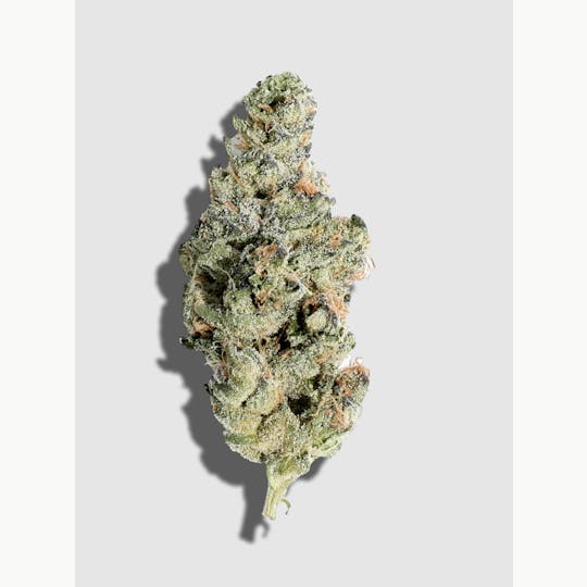 Lume Cannabis Co. - Terp Alert: Dosidos 3.5g Flower - 1