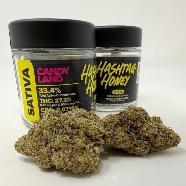 Hashtag Honey - Hashtag Honey | Candy Land | Big Buds | 3.5g - 1