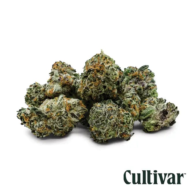 Cultivar Collection - Cultivar | Singapore Sling | 3.5g Minis - 1