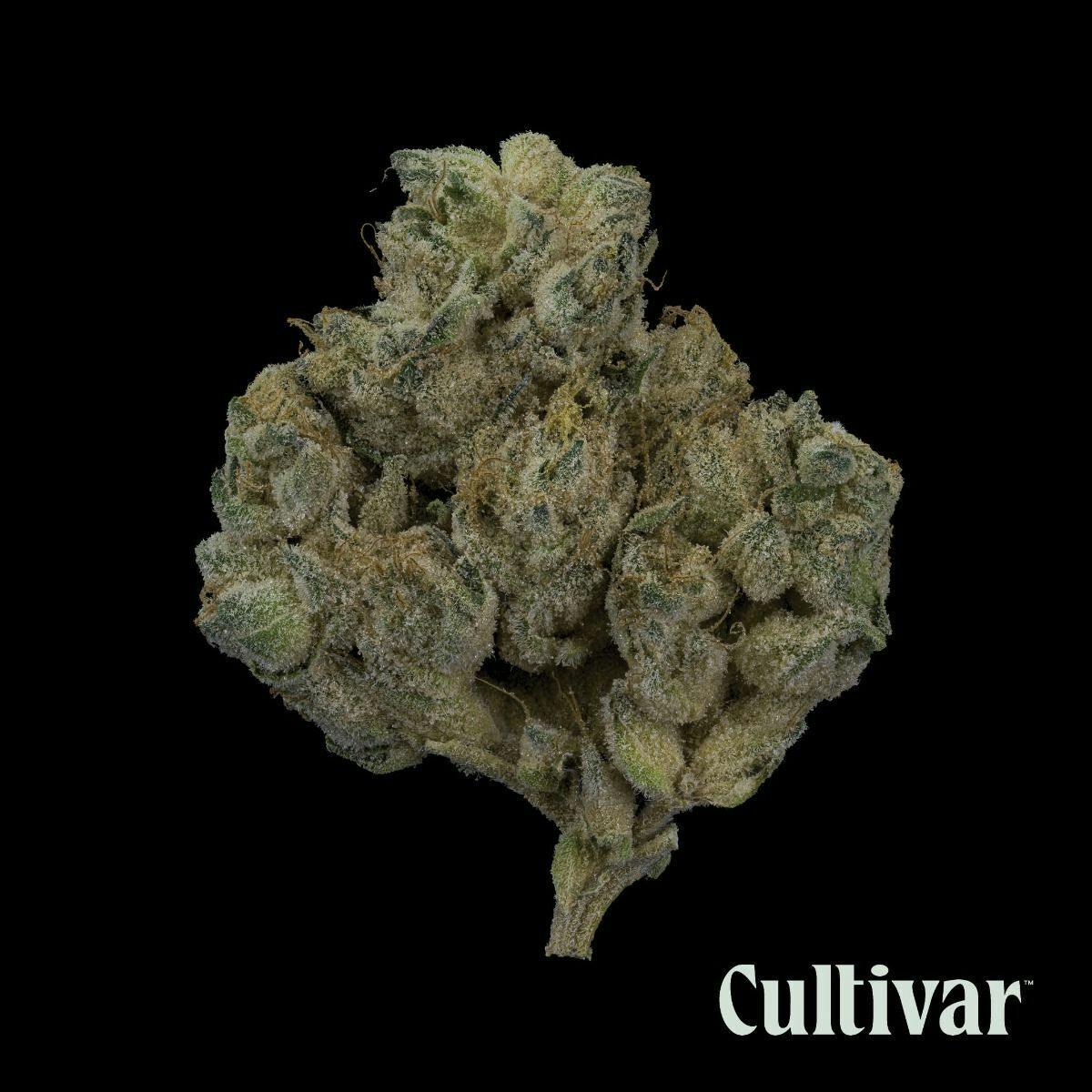 Cultivar Collection - Cultivar | Hippie Crasher | 3.5g Whole Flower - 1