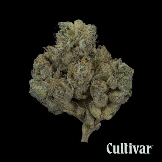 Cultivar Collection - Cultivar | Hippie Crasher | 3.5g Whole Flower - 1