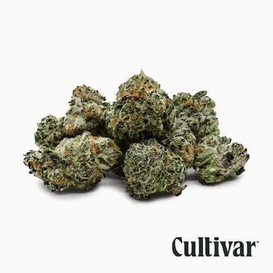 Cultivar Collection - Cultivar | GMO x OZ | 3.5g Minis - 1
