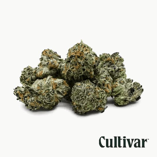 Cultivar Collection - Cultivar | Animal Mints | 3.5g Minis - 1
