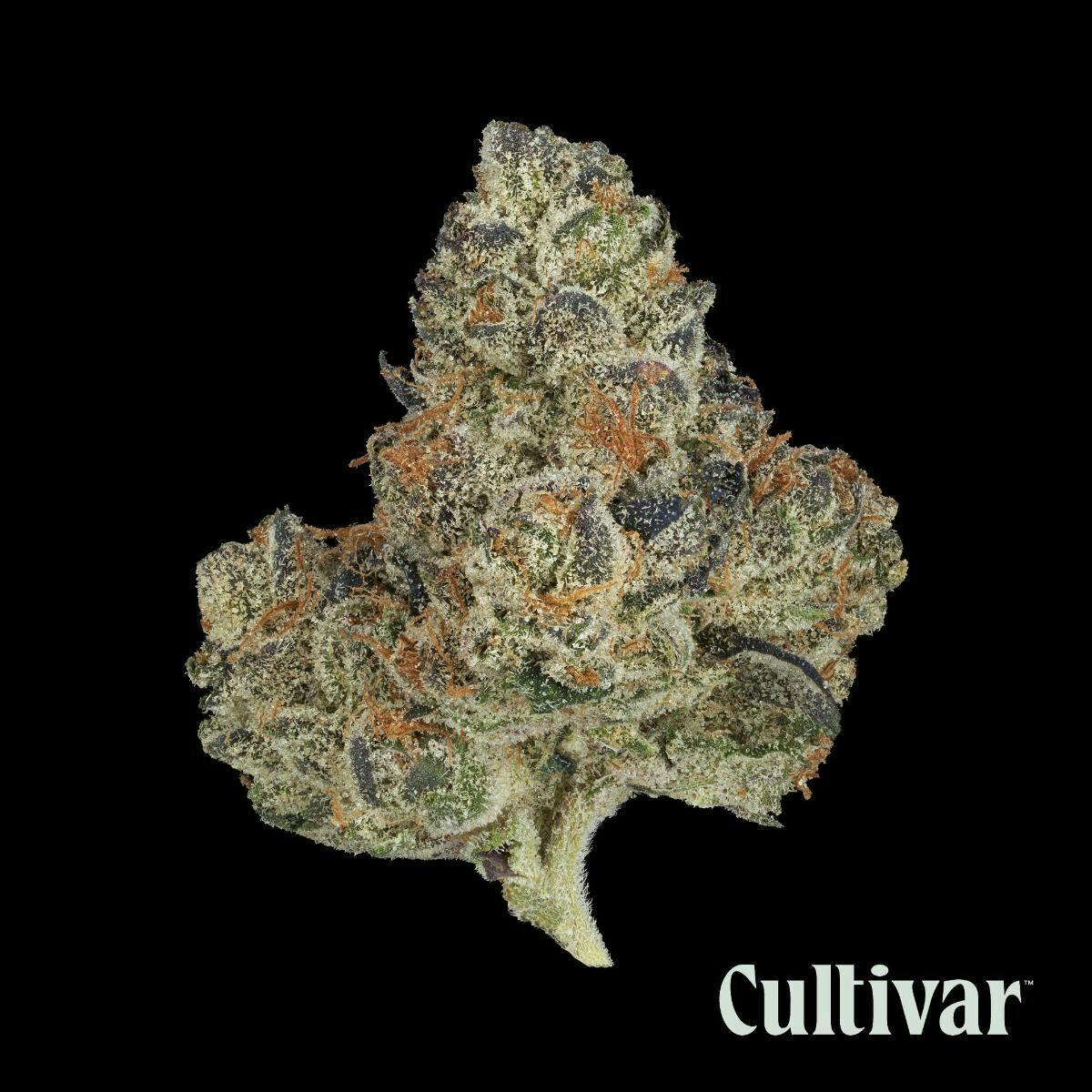 Cultivar Collection - Cultivar | Grape Cake | 3.5g Whole Flower - 1