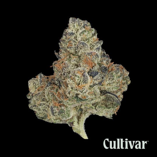Cultivar Collection - Cultivar | Grape Cake | 3.5g Whole Flower - 1