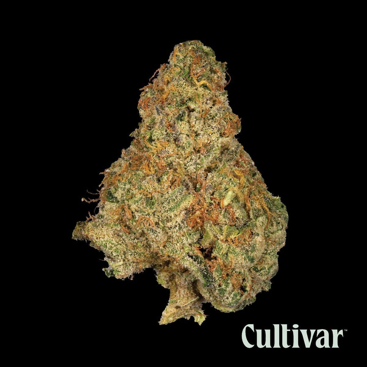 Cultivar Collection - Cultivar | Banana OG | 3.5g Whole Flower - 1