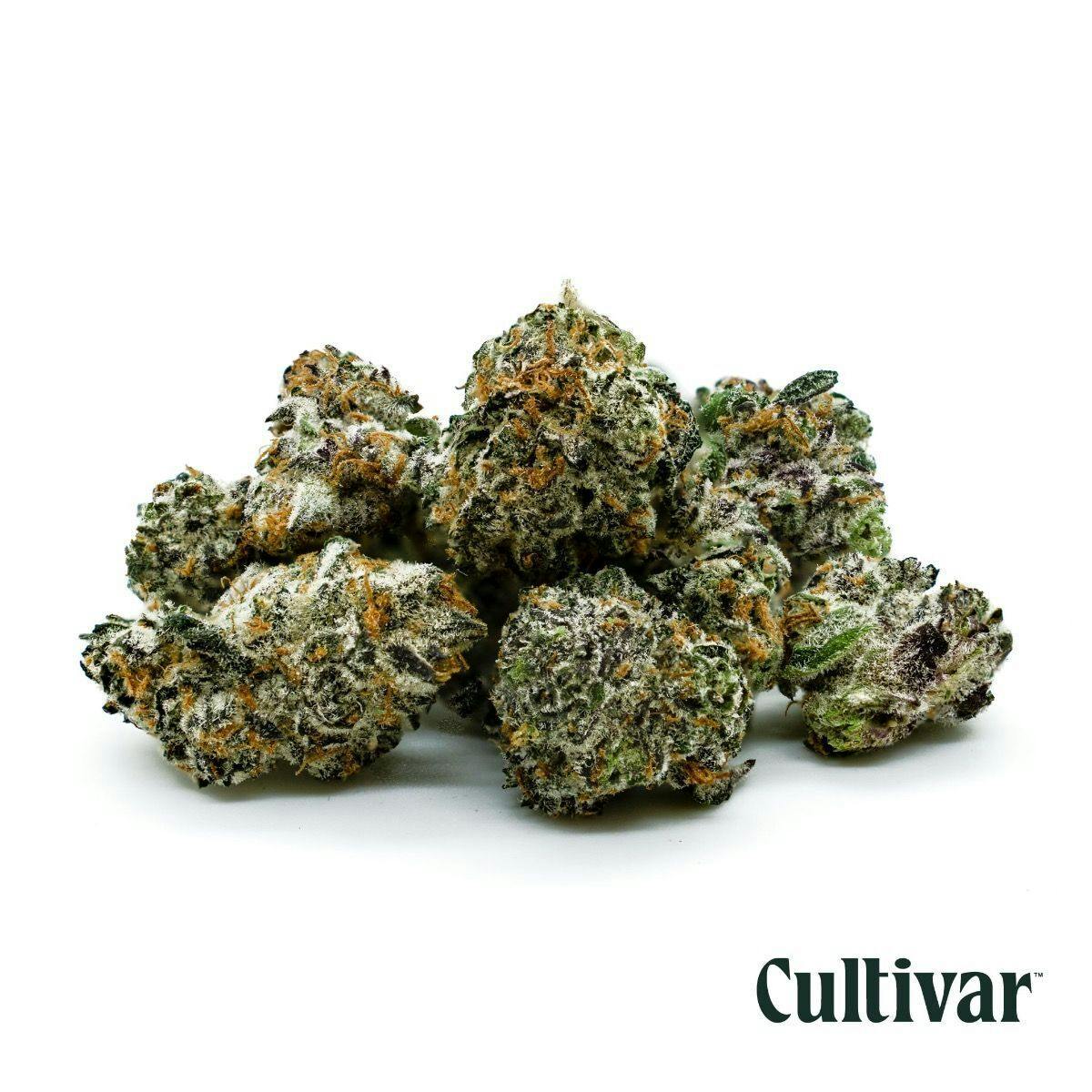 Cultivar Collection - Cultivar | Zealousy | 3.5g Minis - 1
