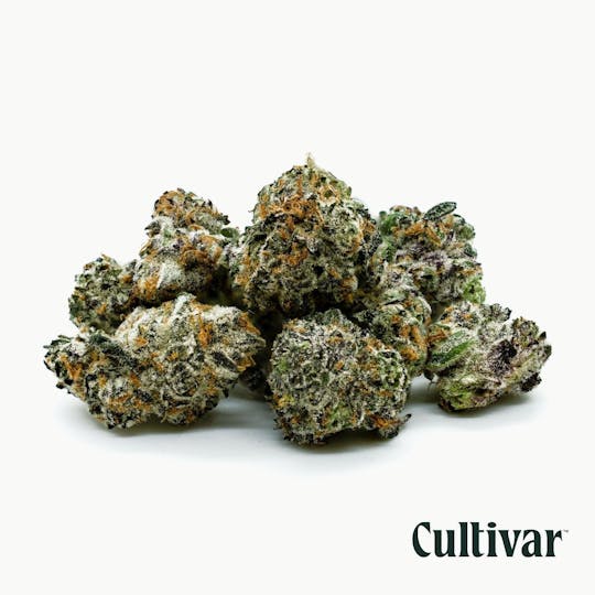 Cultivar Collection - Cultivar | Zealousy | 3.5g Minis - 1