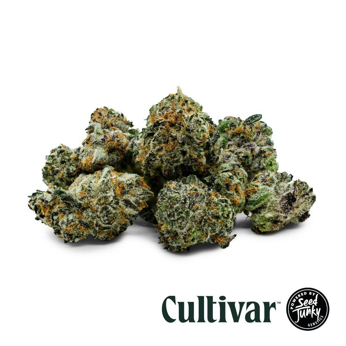 Cultivar Collection - Cultivar | Pineapple Shotz | 3.5g Minis - 1