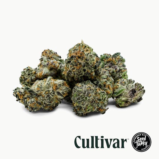 Cultivar Collection - Cultivar | Pineapple Shotz | 3.5g Minis - 1