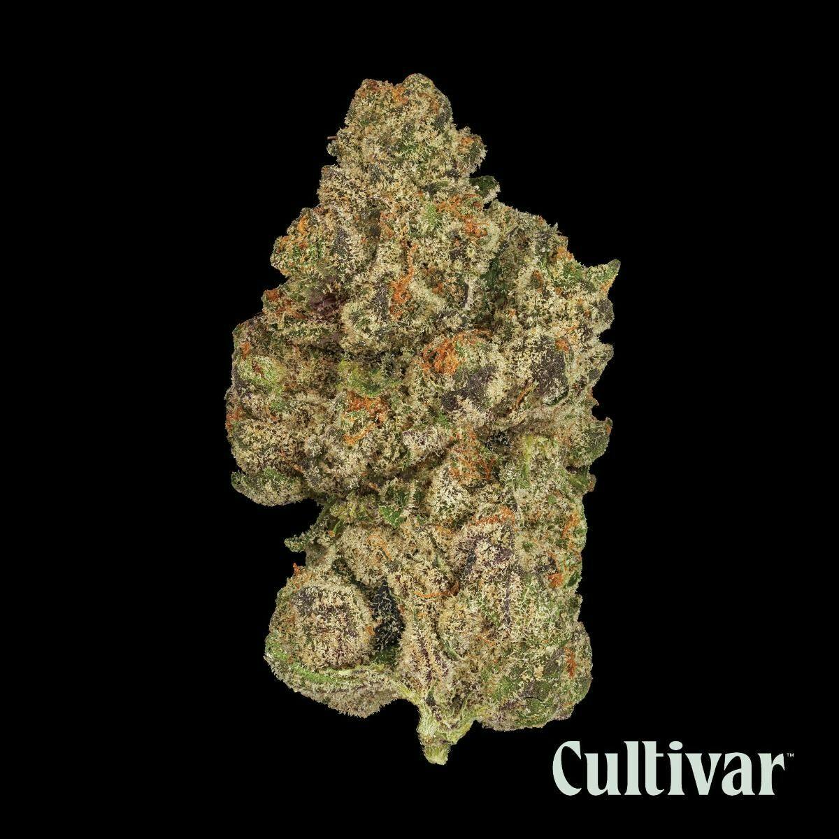 Cultivar Collection - Cultivar | Sunset Sherbet x Kush Mints | 3.5g Whole Flower - 1