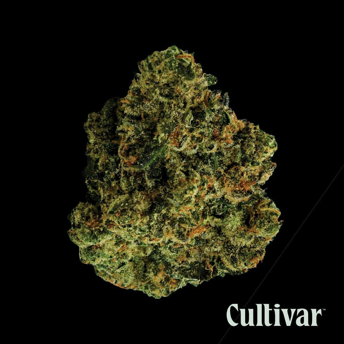 Cultivar Collection - Cultivar | Kush Mintz | 3.5g Whole Flower - 1