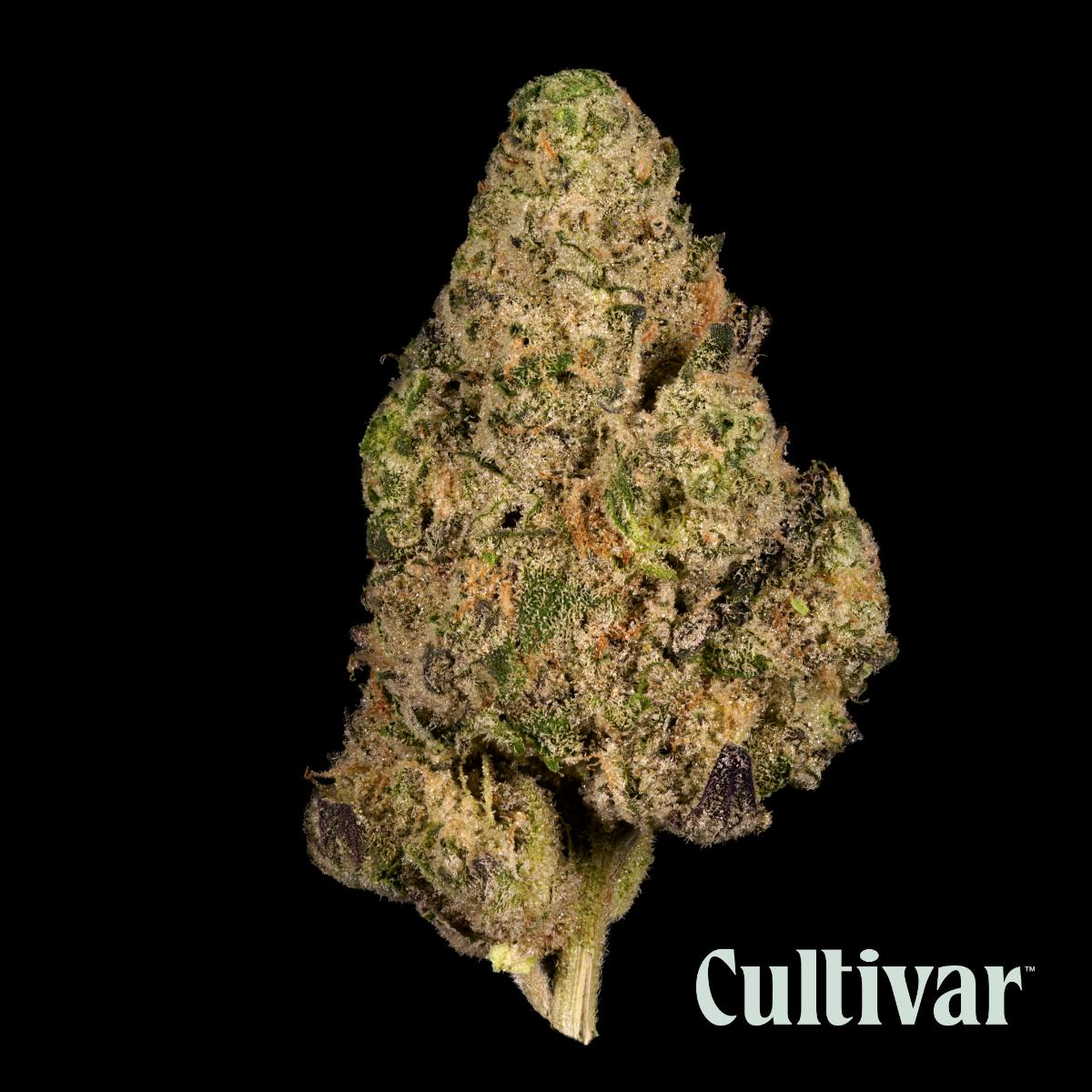 Cultivar Collection - Cultivar | Gush Mints | 3.5g Whole Flower - 1