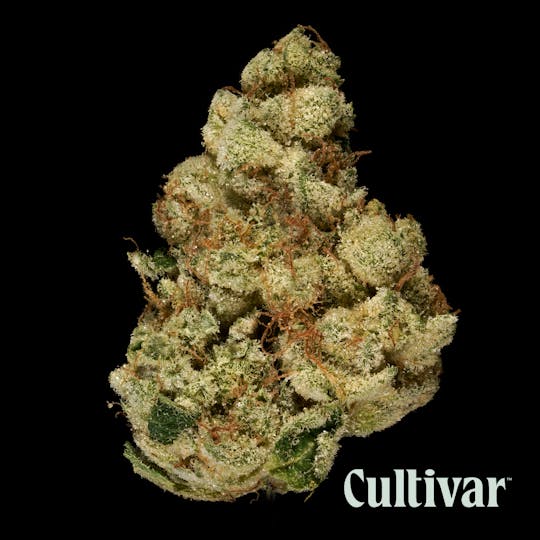 Cultivar Collection - Cultivar | Singapore Sling | 3.5g Whole Flower - 1