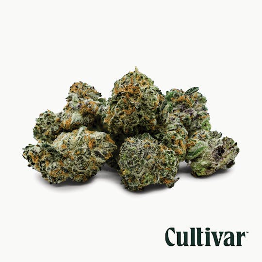 Cultivar Collection - Cultivar | Gush Mints | 3.5g Minis - 1