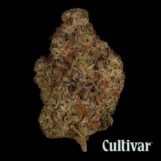 Cultivar Collection - Cultivar | First Class Funk | 3.5g Whole Flower - 1