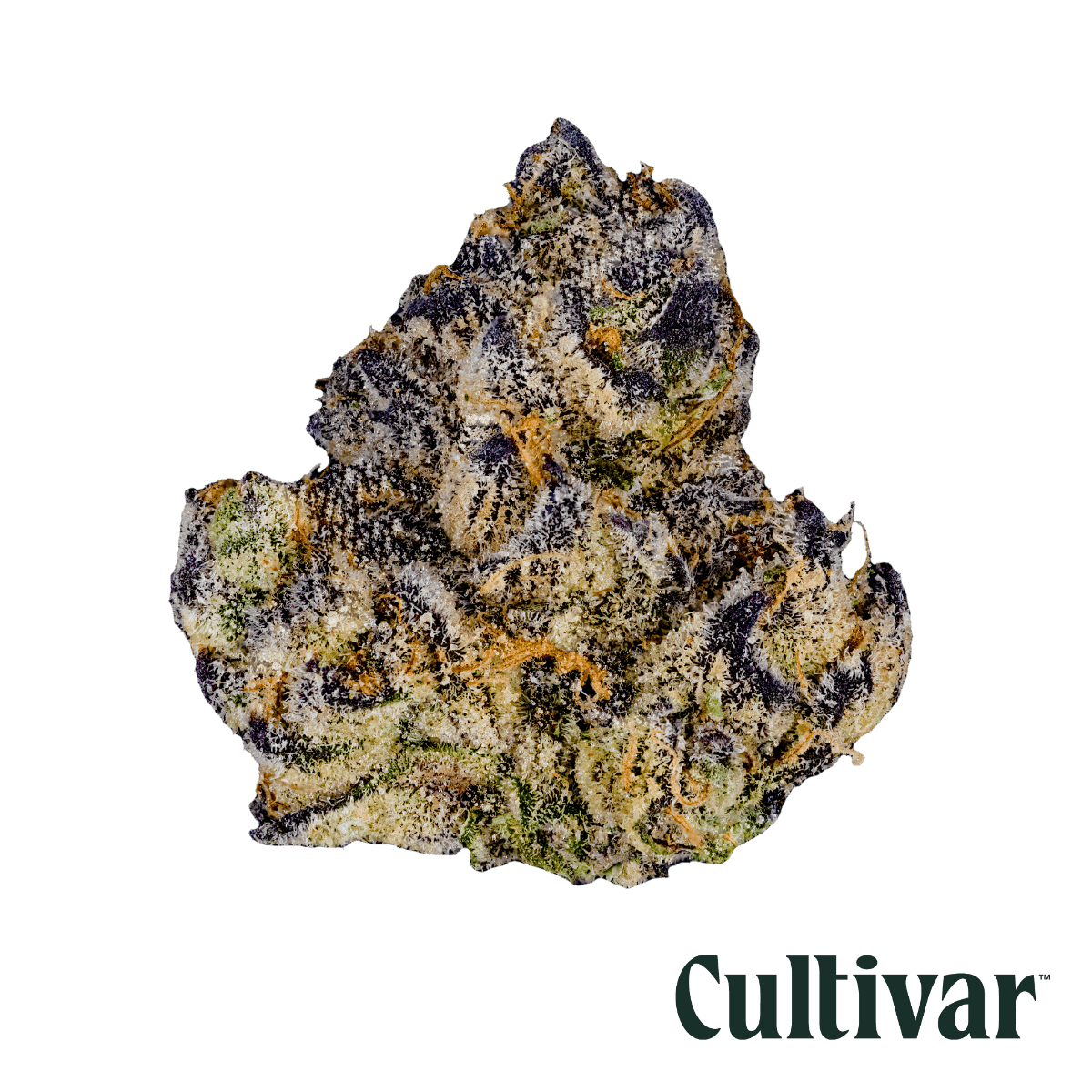 Cultivar Collection - Cultivar | Pineapple Shotz | 3.5g Whole Flower - 1