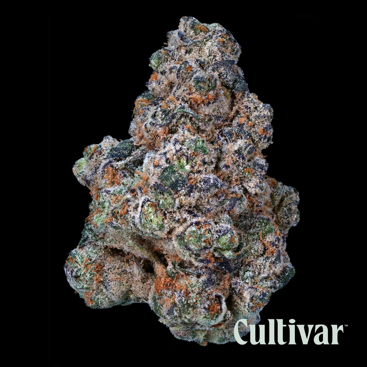 Cultivar Collection - Cultivar | Apples and Bananas | 3.5g Whole Flower - 1
