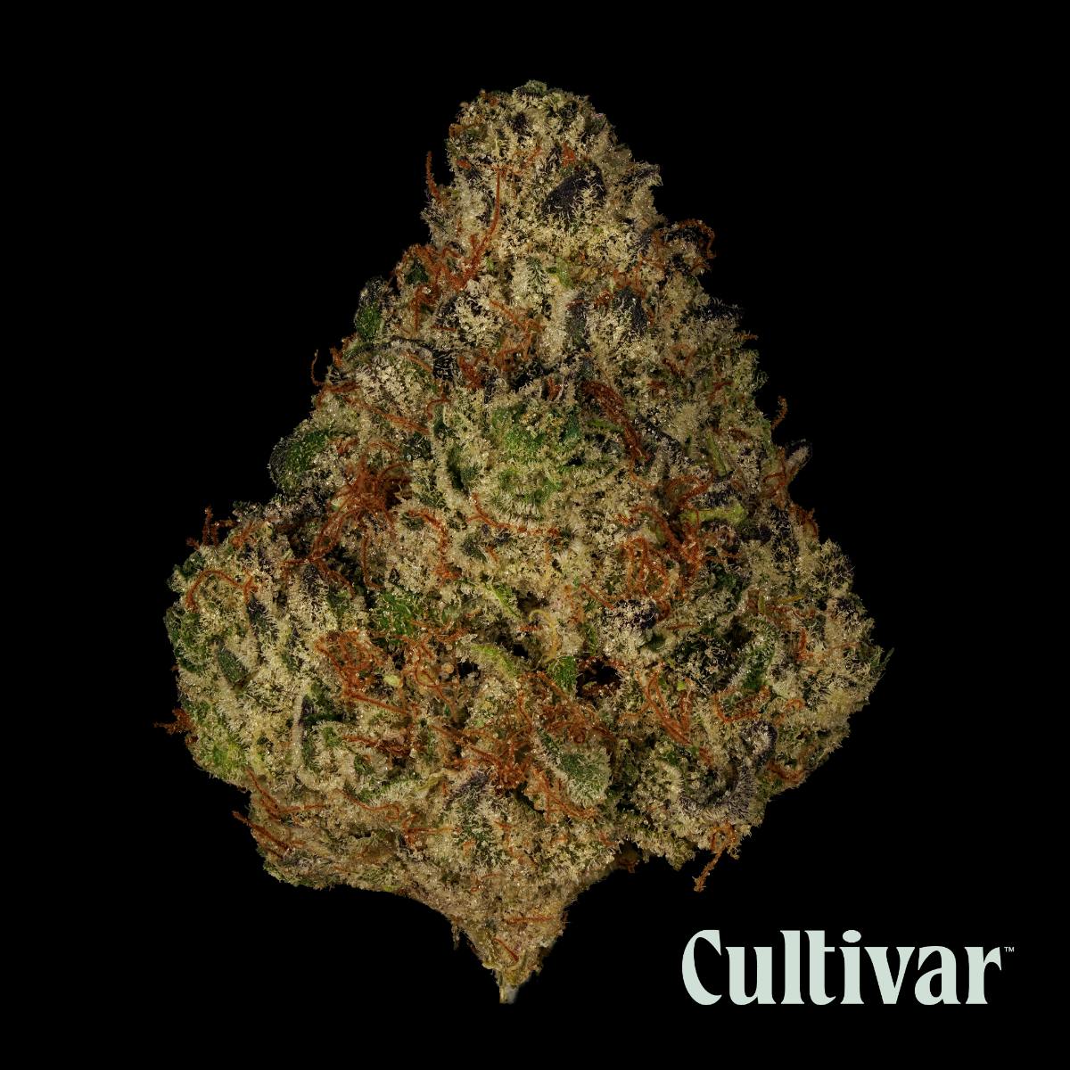 Cultivar Collection - Cultivar | Stay Puft | 3.5g Whole Flower - 1