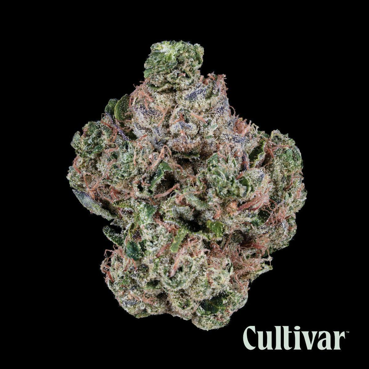 Cultivar Collection - Cultivar | Rae Bae | 3.5g Whole Flower - 1