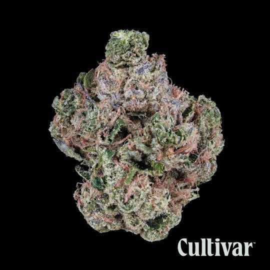 Cultivar Collection - Cultivar | Rae Bae | 3.5g Whole Flower - 1