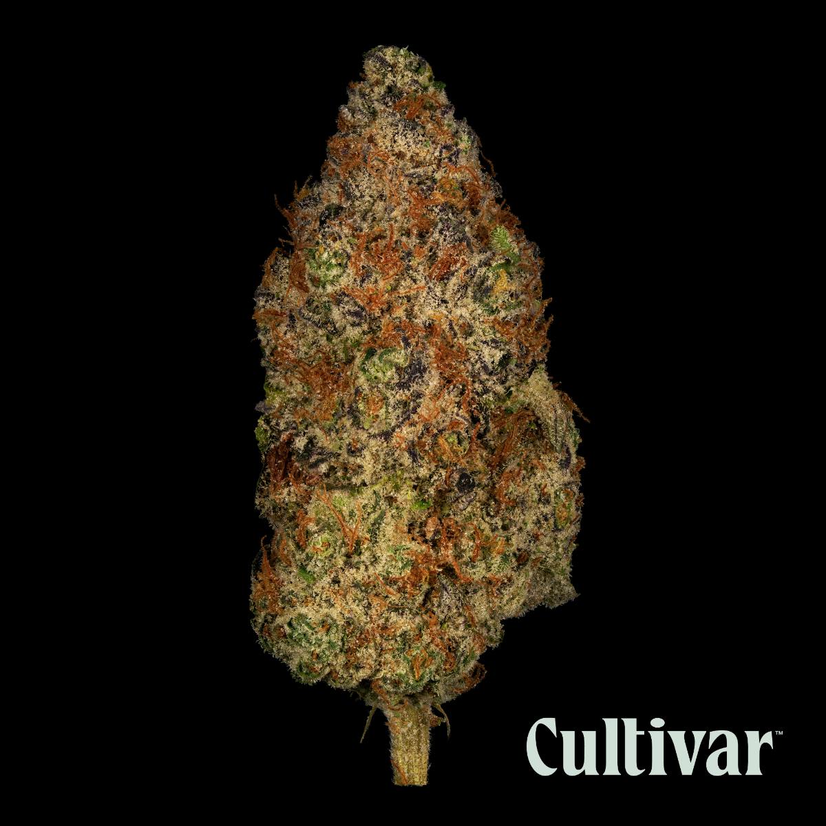 Cultivar Collection - Cultivar | Dark Rainbow | 3.5g Whole Flower - 1