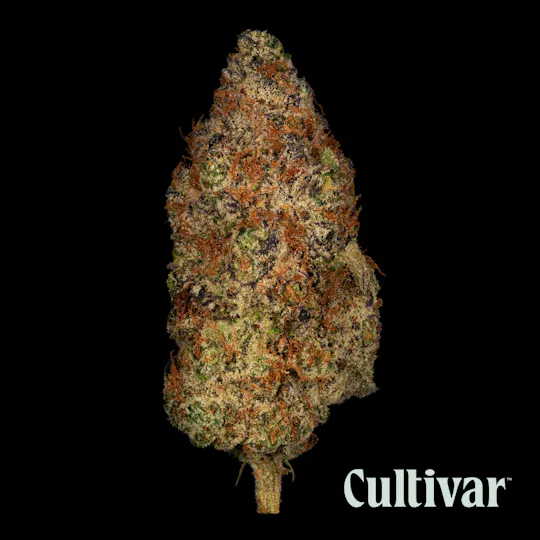 Cultivar Collection - Cultivar | Dark Rainbow | 3.5g Whole Flower - 1