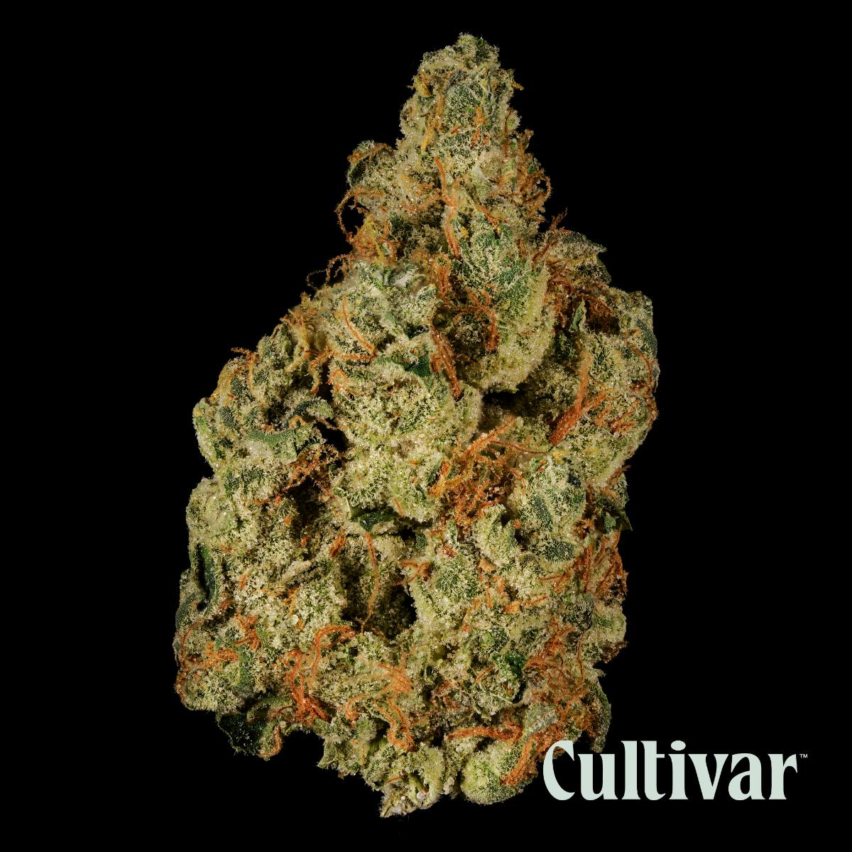 Cultivar Collection - Cultivar | GMO | 3.5g Whole Flower - 1
