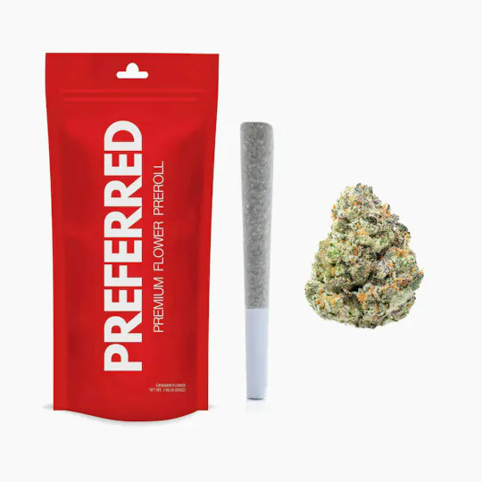 Preferred Gardens - Powernap | Joint | 1g - 1