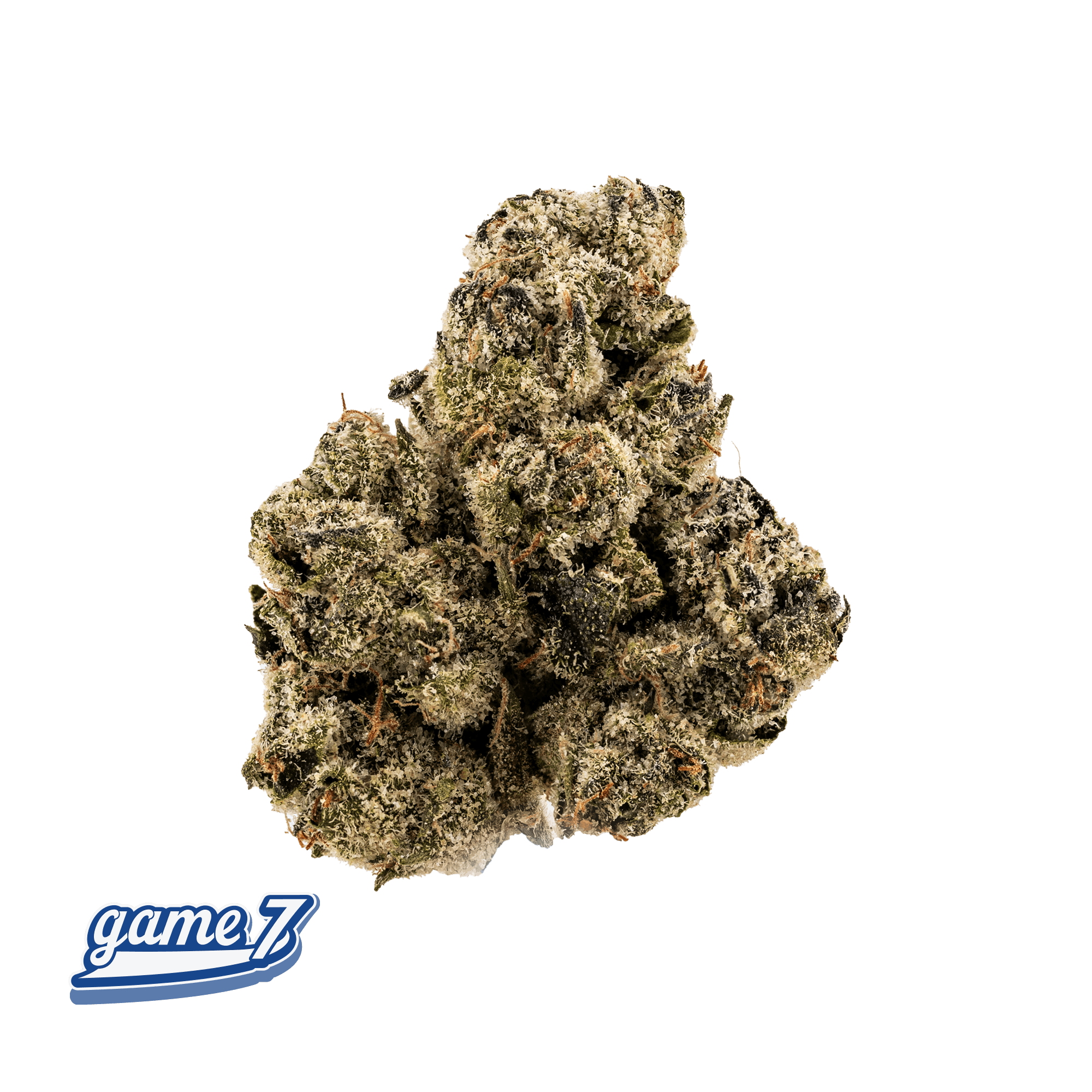 Traditional - Traditional - Game 7 3.5g - 1