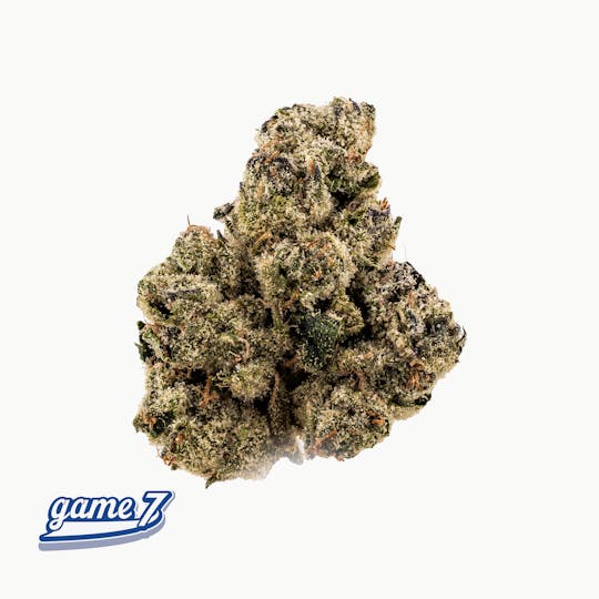 Traditional - Traditional - Game 7 3.5g - 1