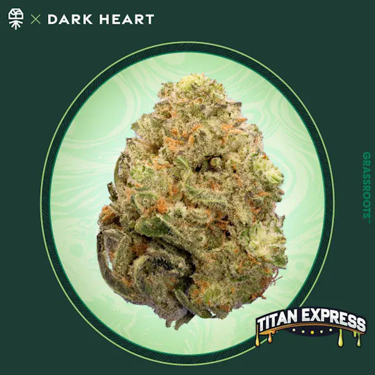 Grassroots - Titan Express Whole Flower - Dark Heart Collection 7g - 1