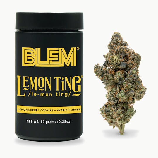 BLEM - BLEM LEMON TING 10g - 1