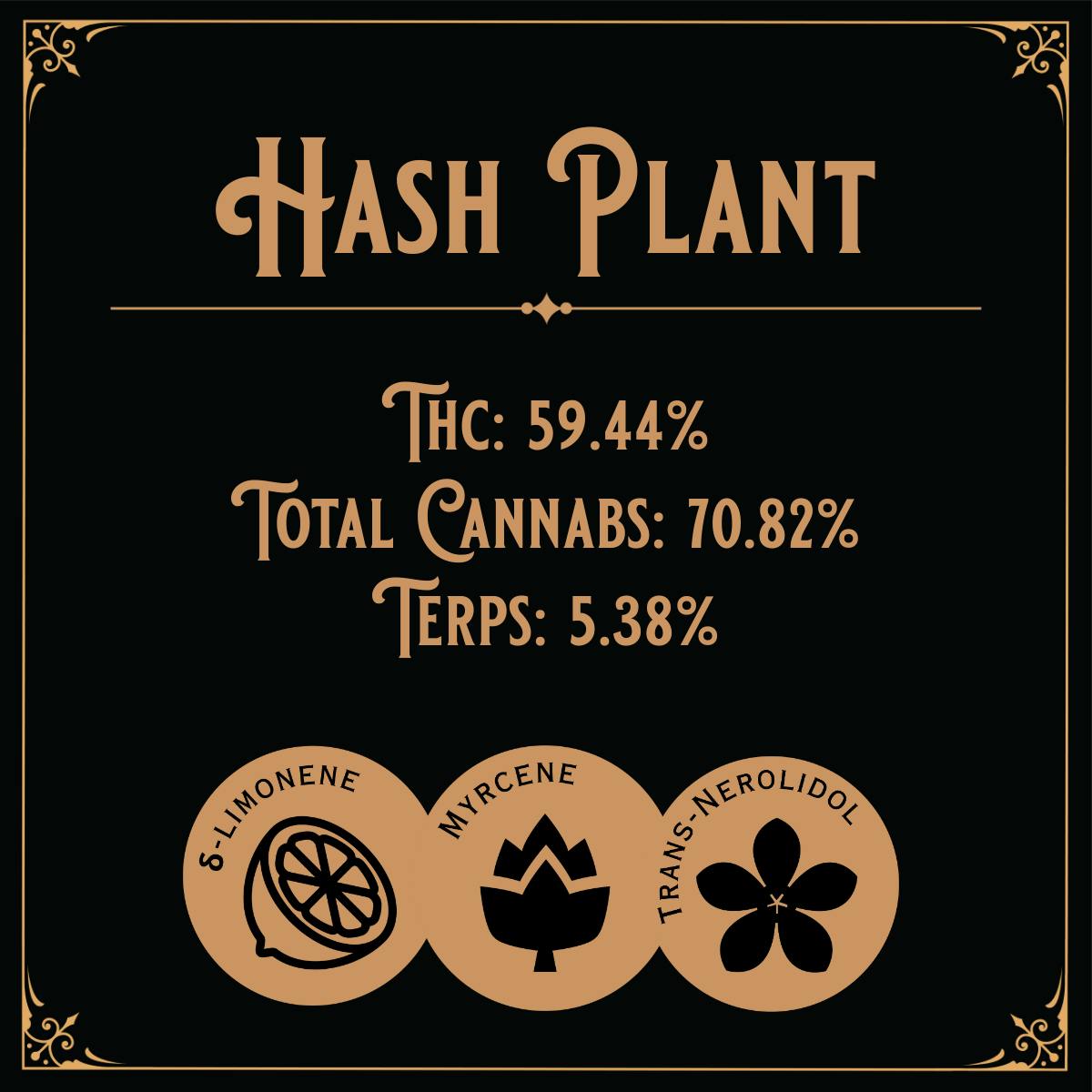 Old School Hash Co. - Old School Hash: Hash Plant - 1g Brick Hash - 1