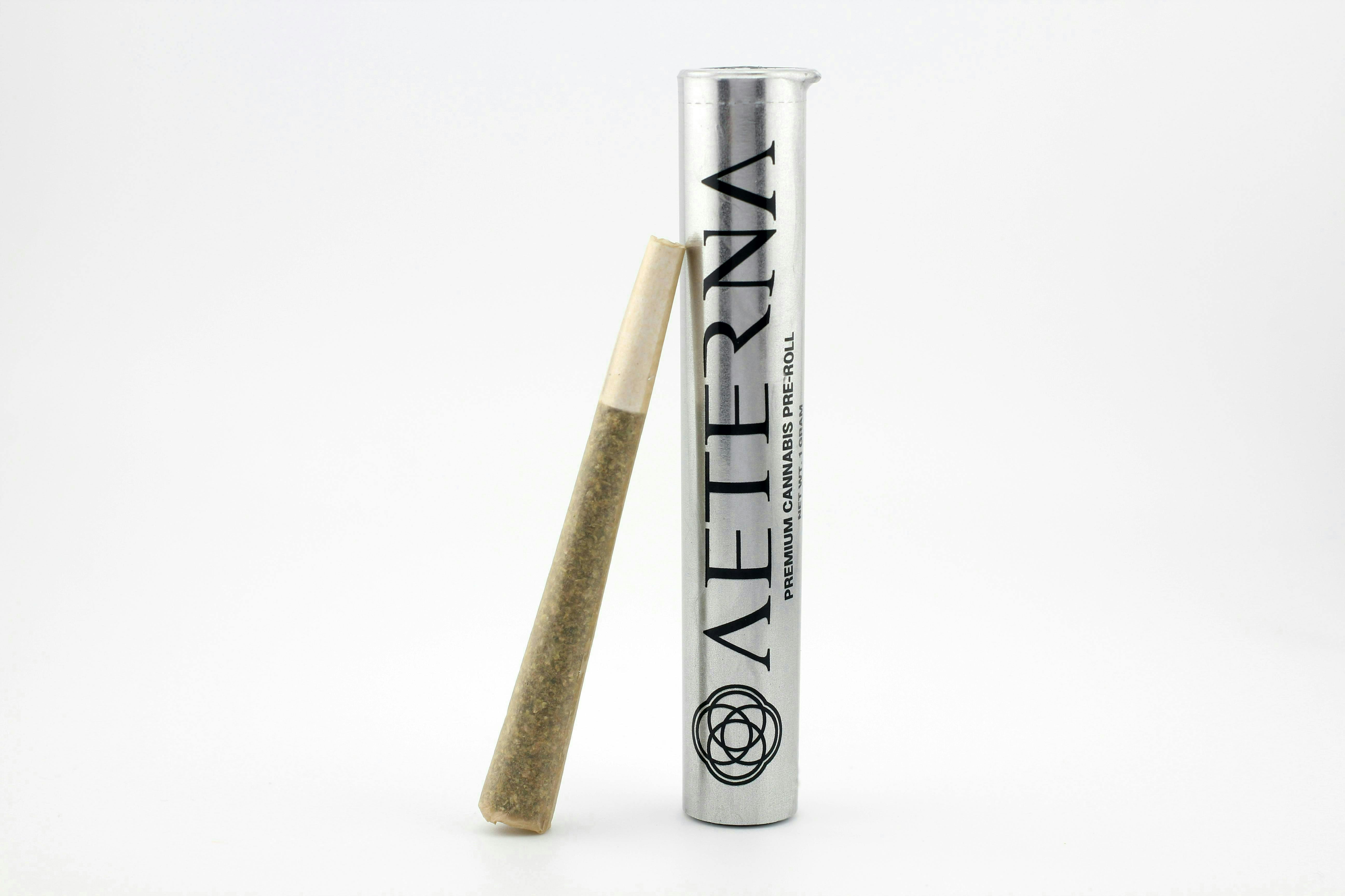 Aeterna - Aeterna | Apple Fritter | Joint | 1g - 1