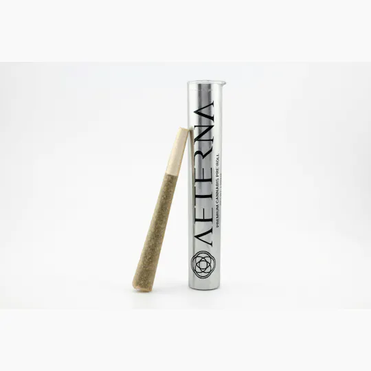 Aeterna - Aeterna | Apple Fritter | Joint | 1g - 1