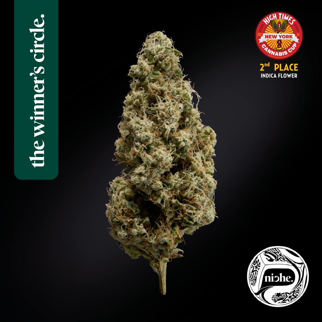 Niche - Fatso | 3.5g - 1