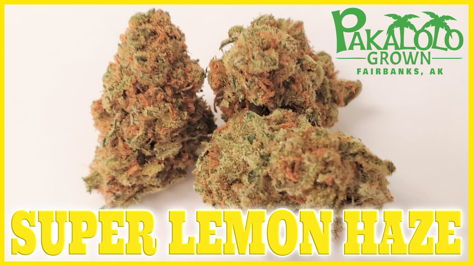 Pakalolo Supply Company - PSC | Super Lemon Haze | Flower | 3.5G - 1