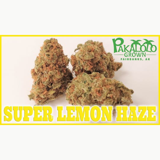 Pakalolo Supply Company - PSC | Super Lemon Haze | Flower | 3.5G - 1