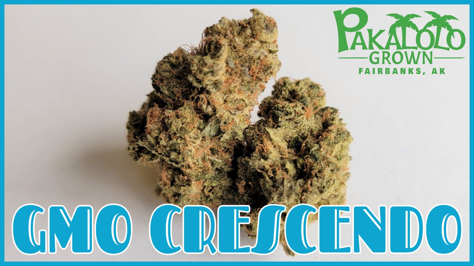 Pakalolo Supply Company - PSC | GMO Crescendo | Flower | 28G - 1