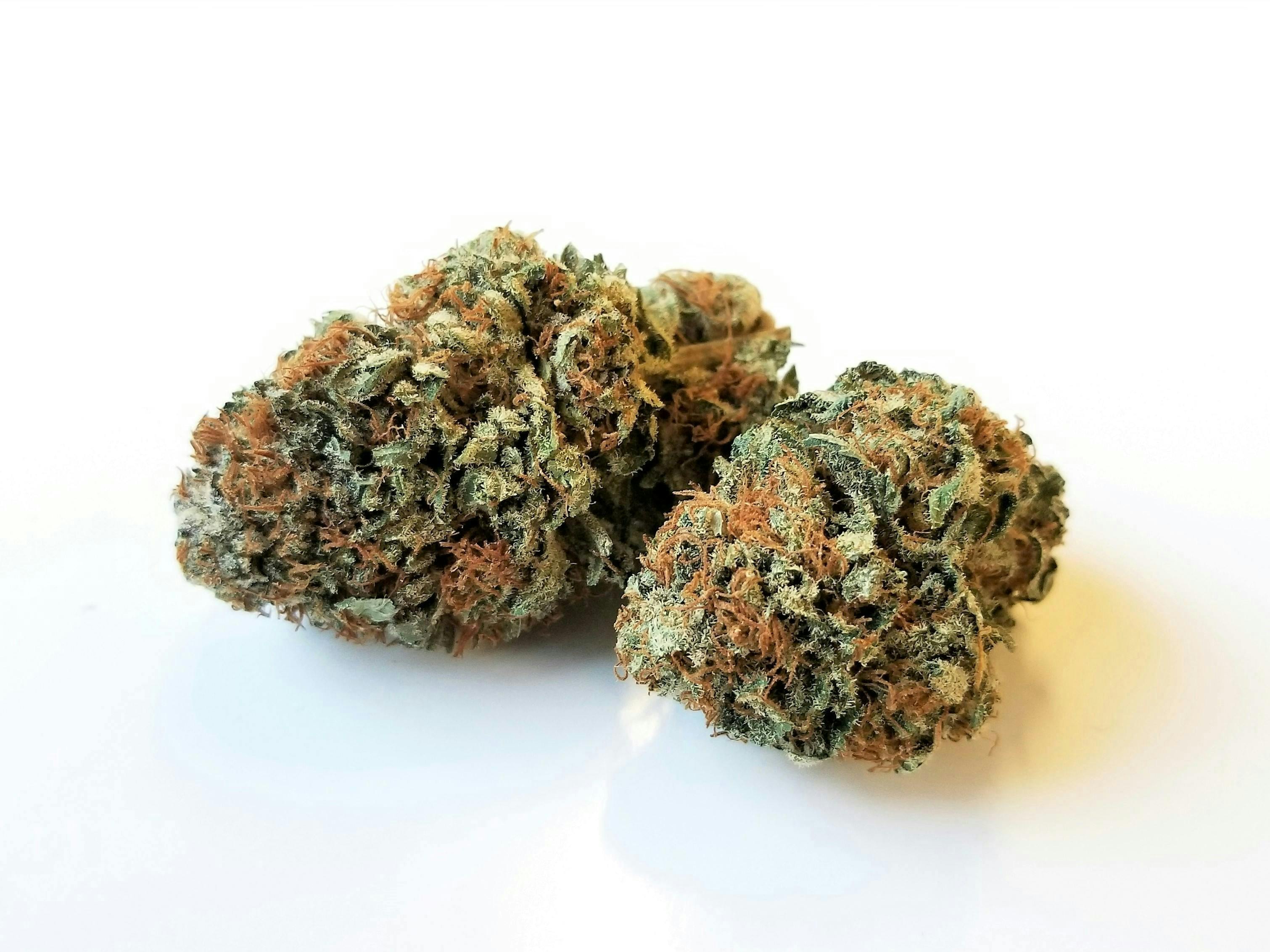 Pakalolo Supply Company - PSC | Mauna Kea | Flower | 7G - 1