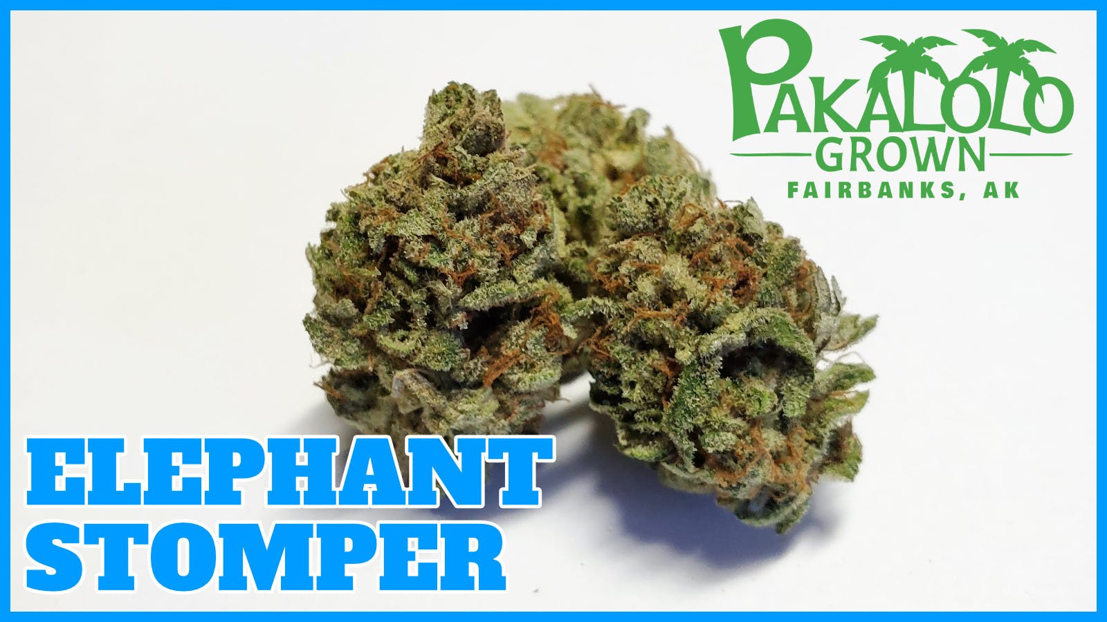 Pakalolo Supply Company - PSC | Elephant Stomper | Flower | 3.5G - 1