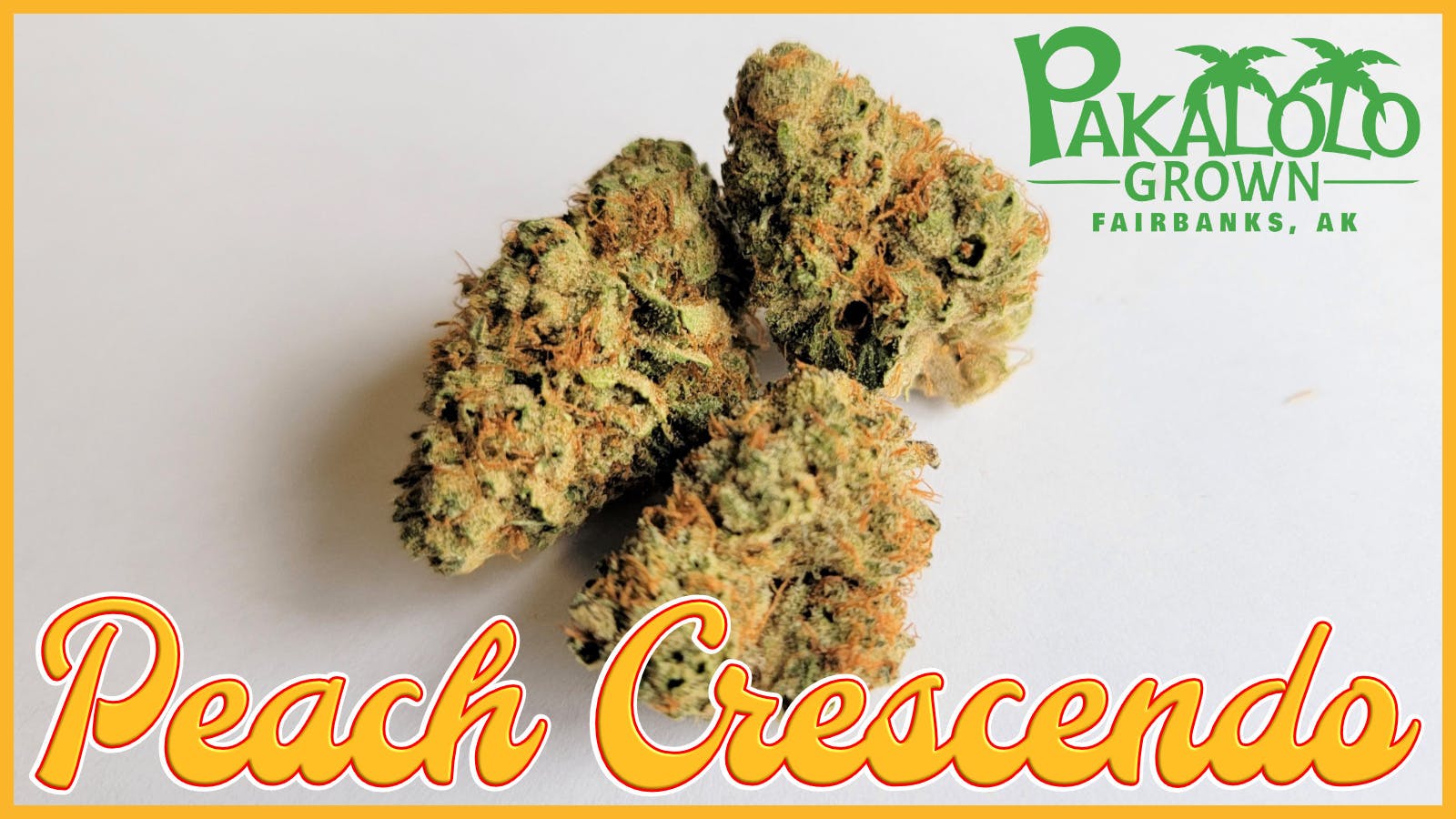 Pakalolo Supply Company - PSC | Peach Crescendo | Flower | 7G - 1