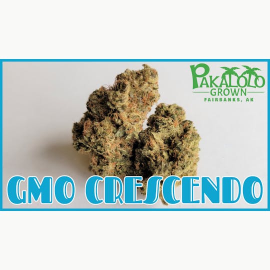 Pakalolo Supply Company - PSC | GMO Crescendo | Flower | 3.5G - 1
