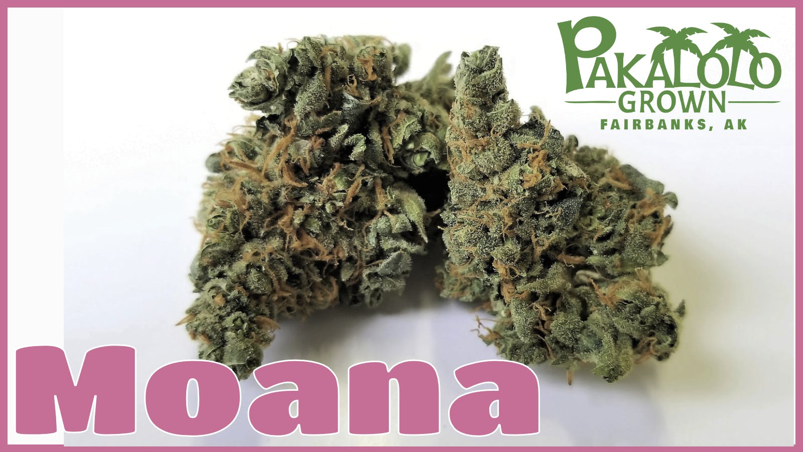 Pakalolo Supply Company - PSC | Moana | Flower | 14G - 1